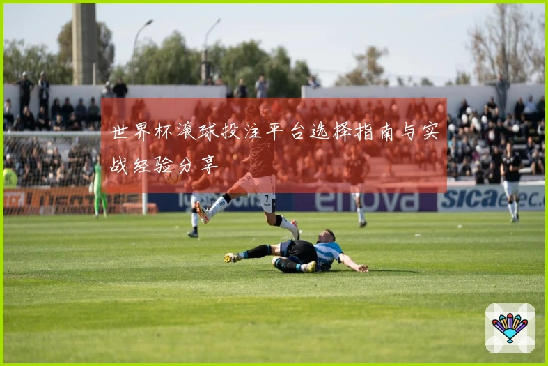 世界杯滚球投注平台选择指南与实战经验分享