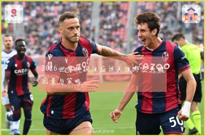 2026世界杯投注应该关注哪些关键因素与策略