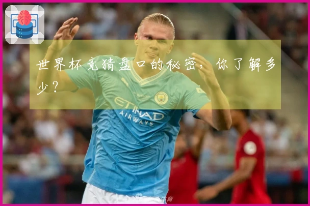 世界杯竞猜盘口的秘密，你了解多少？