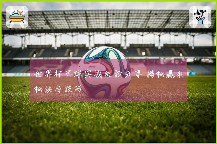 世界杯买球实战经验分享 揭秘赢利秘诀与技巧