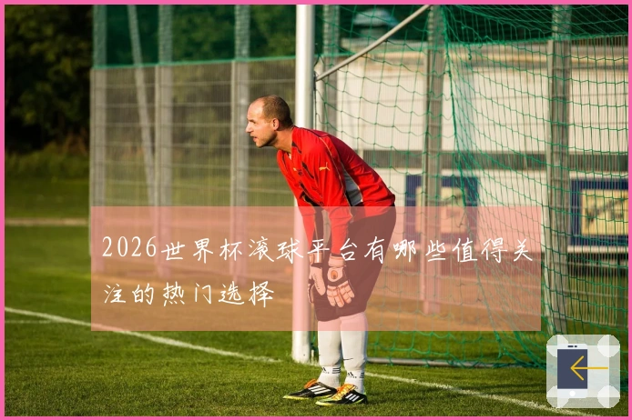 2026世界杯滚球平台有哪些值得关注的热门选择