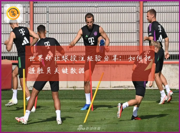 世界杯让球投注经验分享:如何把握胜负关键数据