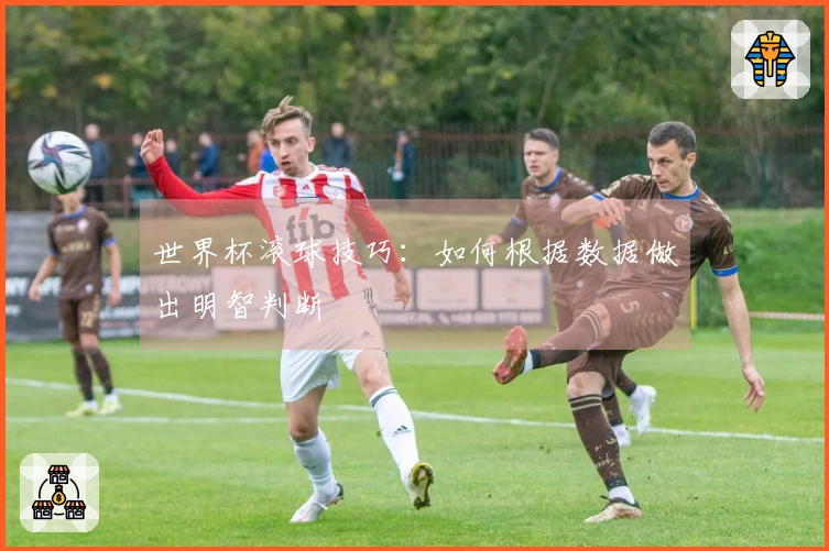 世界杯滚球技巧:如何根据数据做出明智判断