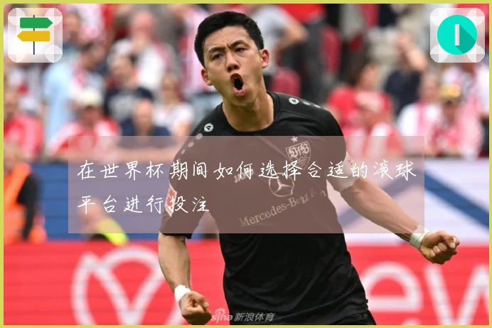 在世界杯期间如何选择合适的滚球平台进行投注