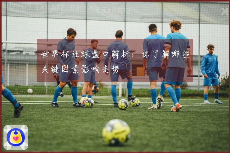 世界杯让球盘口解析，你了解哪些关键因素影响走势