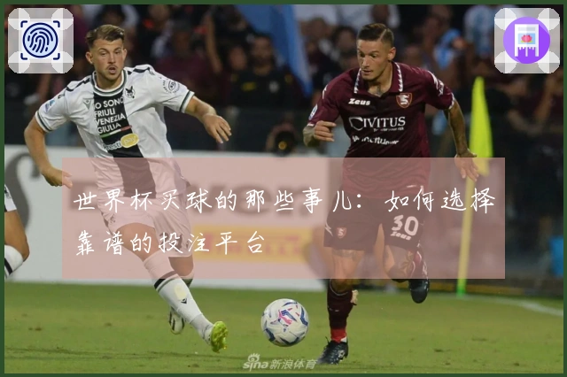 世界杯买球的那些事儿:如何选择靠谱的投注平台