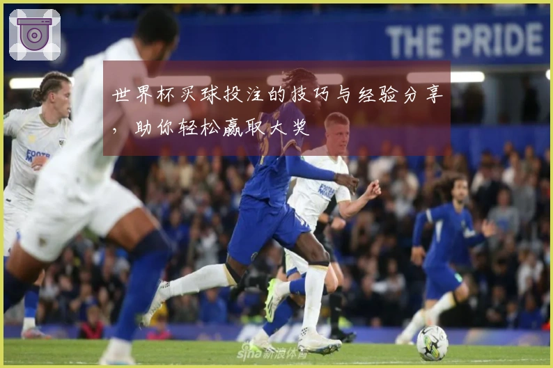 世界杯买球投注的技巧与经验分享，助你轻松赢取大奖