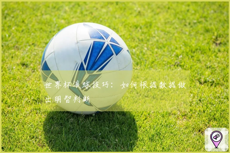 世界杯滚球技巧：如何根据数据做出明智判断
