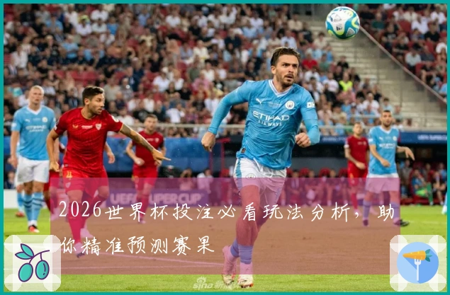 2026世界杯投注必看玩法分析，助你精准预测赛果