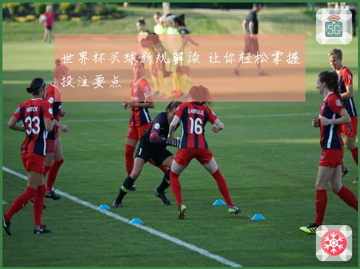 世界杯买球新规解读 让你轻松掌握投注要点